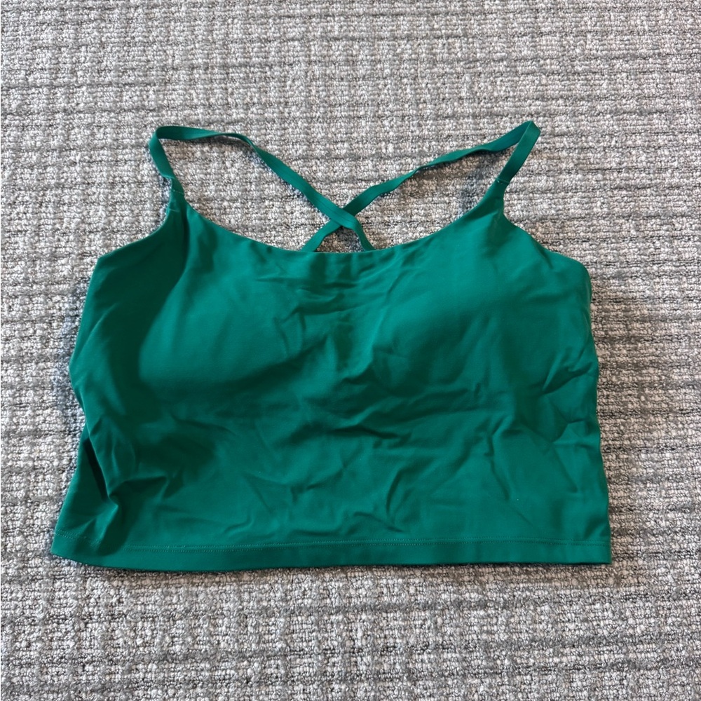 Aerie Green Crop Top